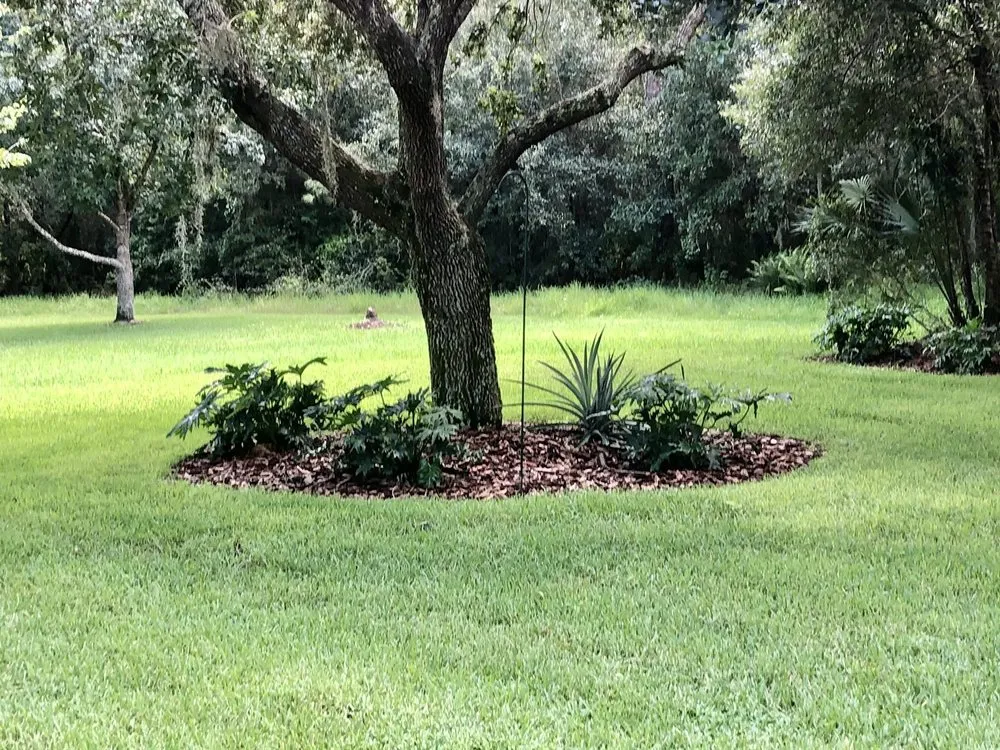 Expert garden landscaping near you across Bradenton, FL - Hardy Outdoor