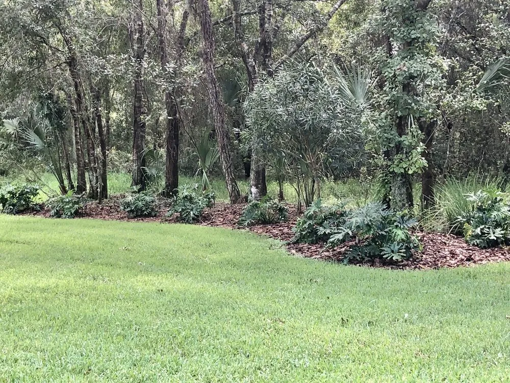Affordable garden landscaping in Bradenton, FL by Hardy Outdoor