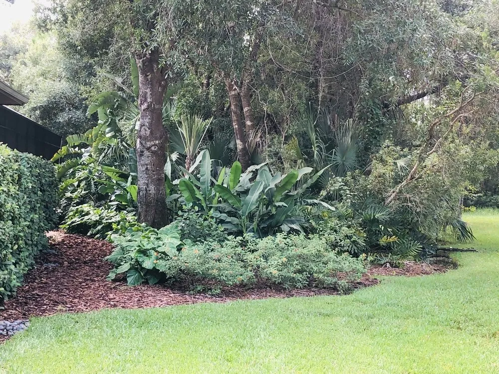 Affordable landscape design in Bradenton, FL - Hardy Outdoor