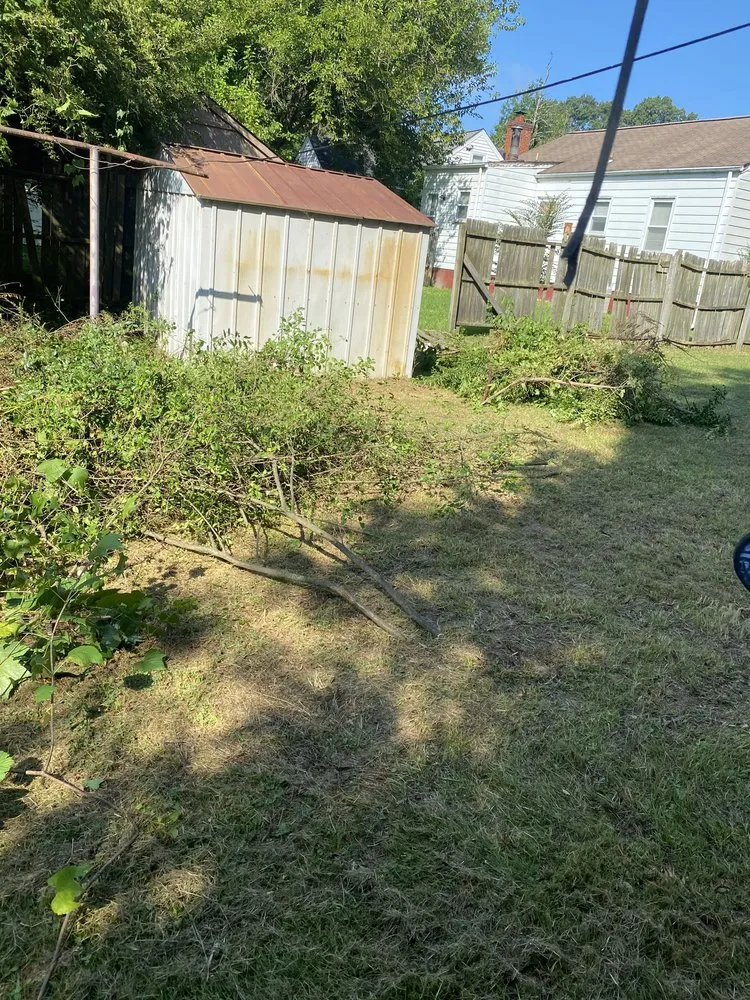 Reliable yard cleanup service in Petersburg, VA - Hardys Go Green Services