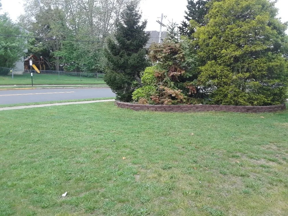 Professional landscaping services with custom design across Jackson, NJ - Hardy's Property Management