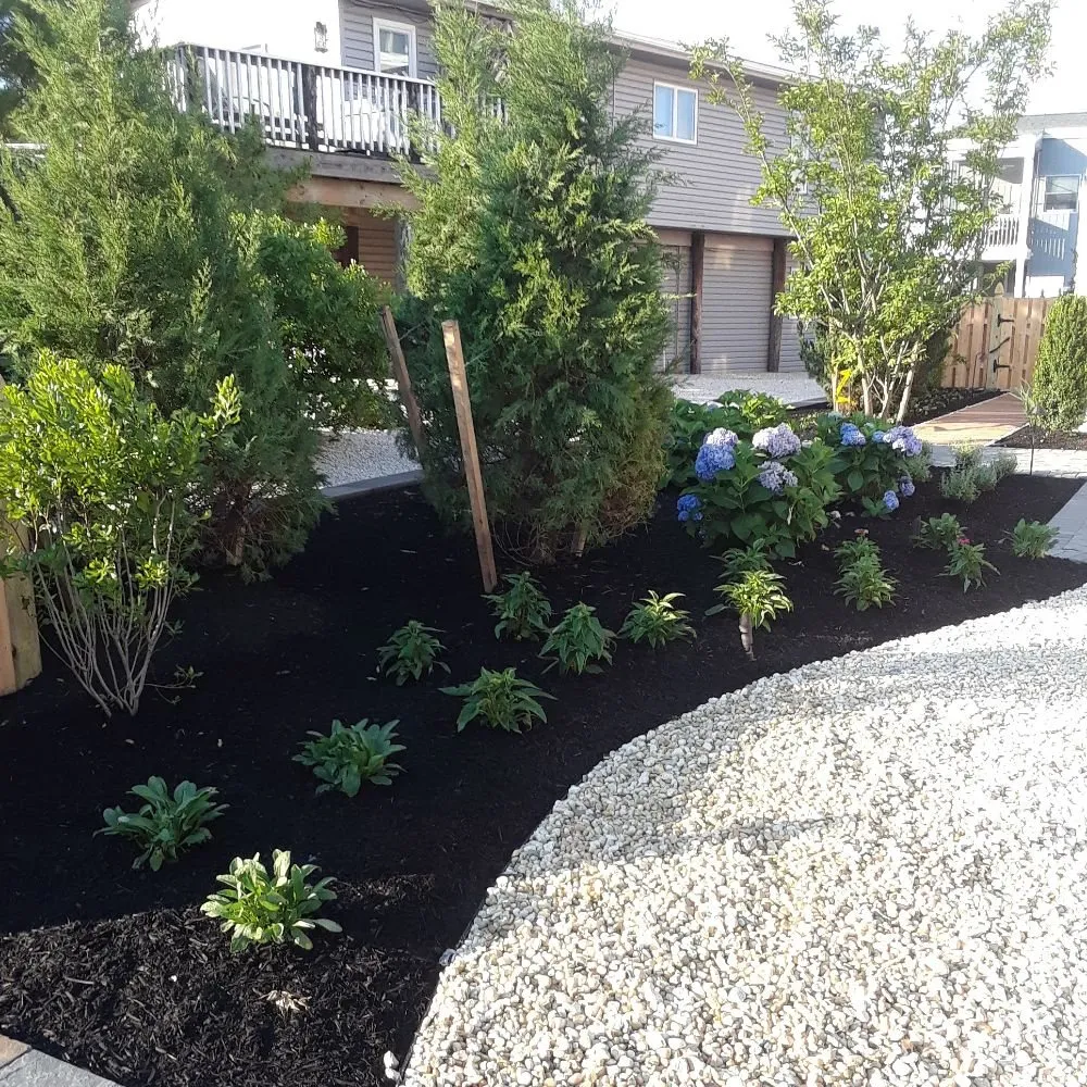 Reliable yard cleanup service in Jackson, NJ - Hardy's Property Management