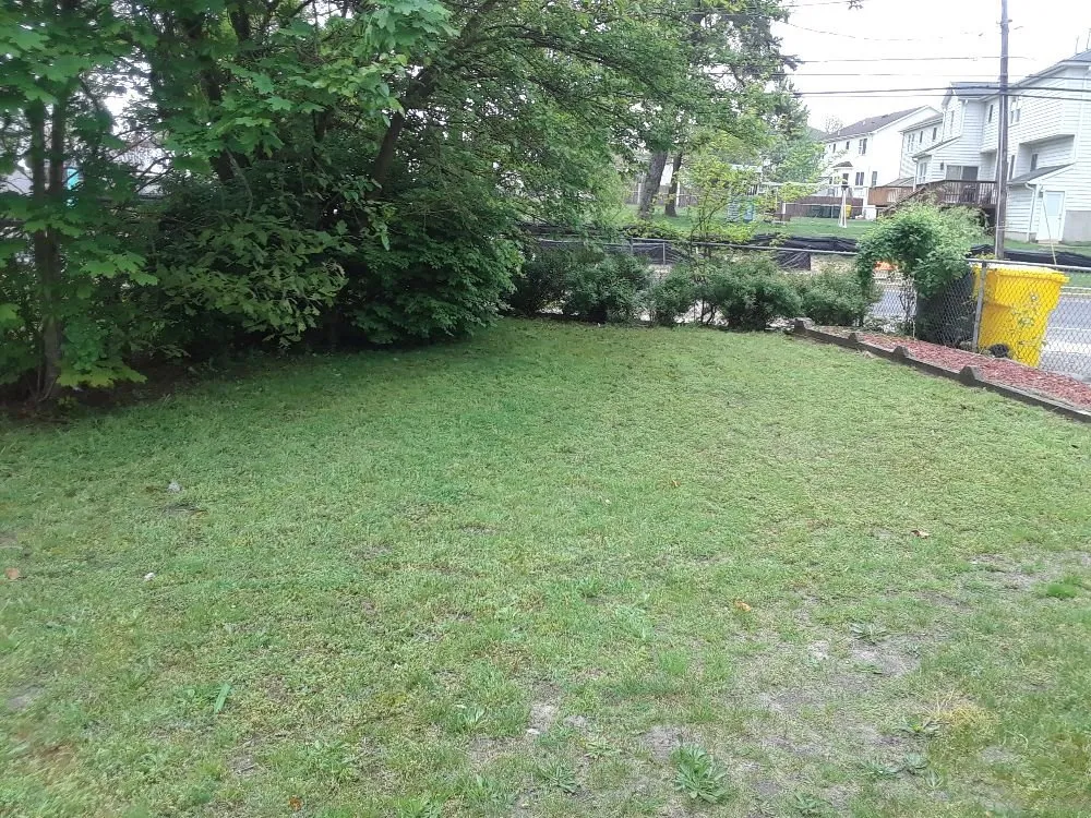 Trusted yard cleanup service in Jackson, NJ - Hardy's Property Management