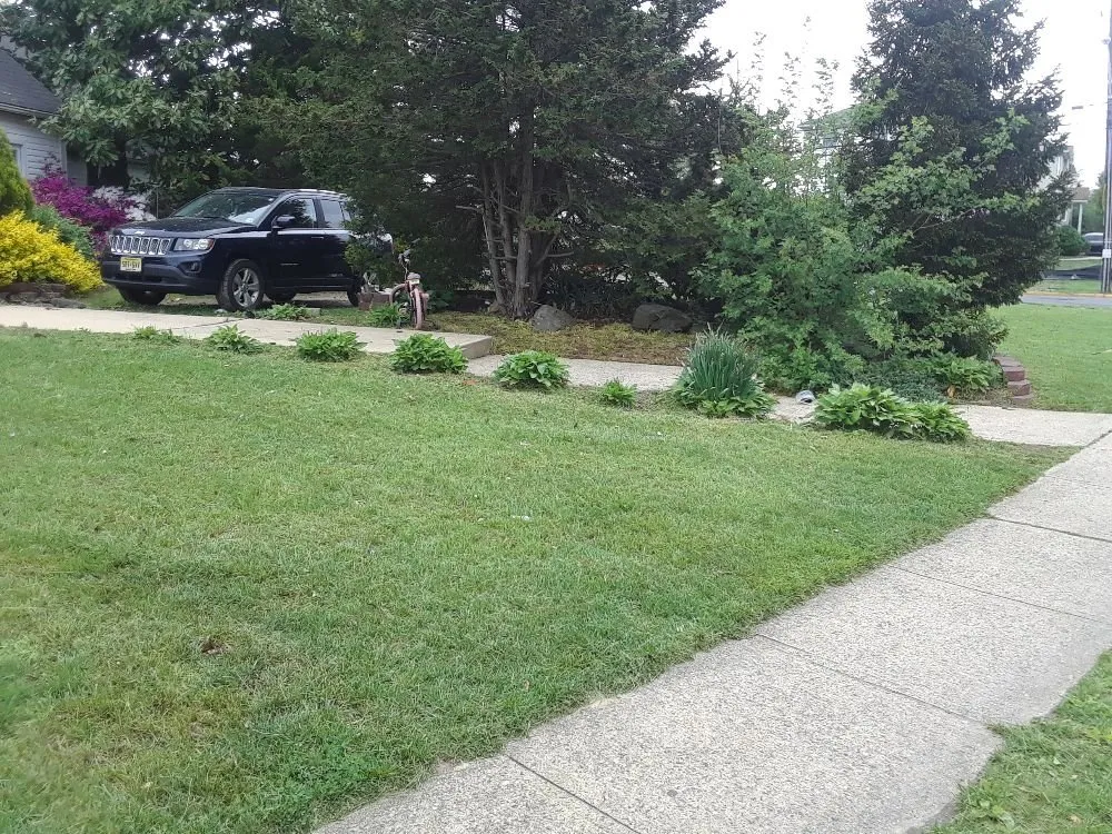 Custom lawn mowing service in Jackson, NJ - Hardy's Property Management