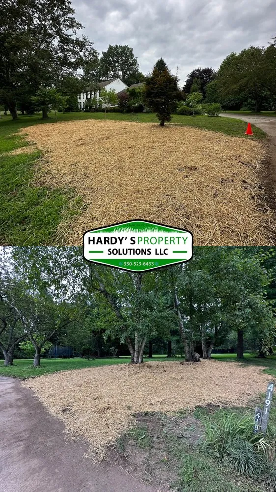 Reliable landscaping services for outdoor upgrades in Medina, OH by Hardys Property Solutions