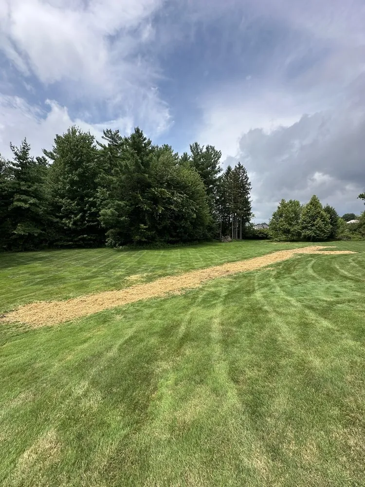 Local residential landscaping for beautiful yards across Medina, OH - Hardys Property Solutions