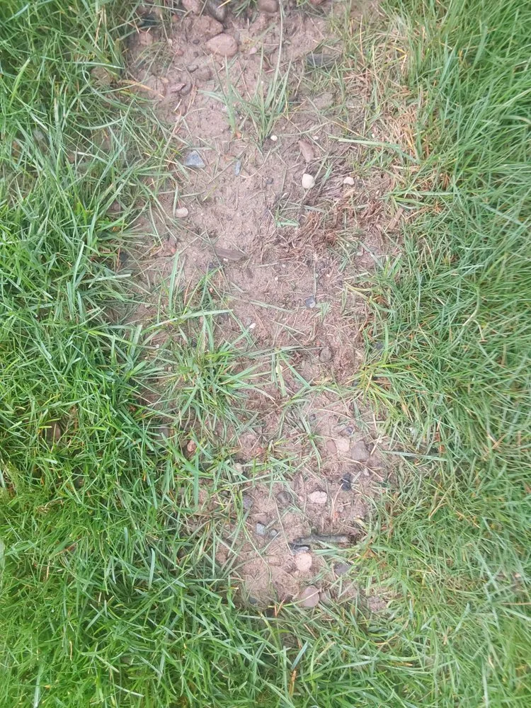 Professional yard cleanup service in East Windsor, CT by Harken's Landscape Supply & Garden Center