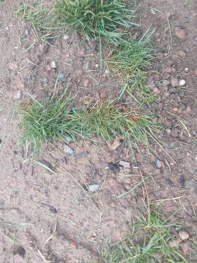 Top-rated outdoor landscaping near you across East Windsor, CT - Harken's Landscape Supply & Garden Center