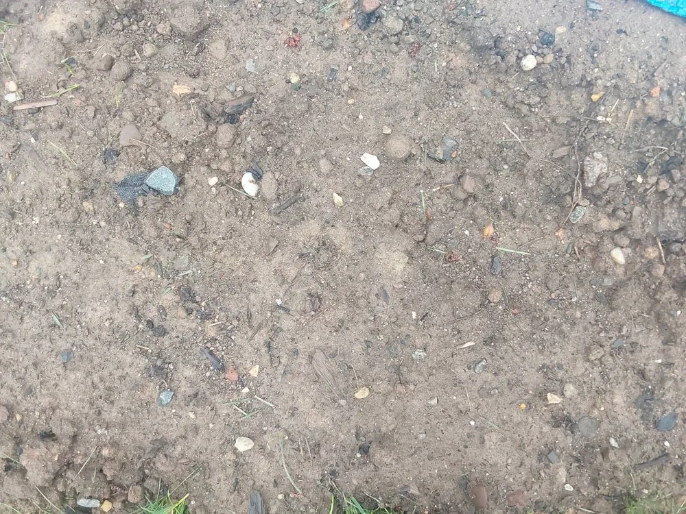 Custom landscape installation for year-round maintenance across East Windsor, CT - Harken's Landscape Supply & Garden Center