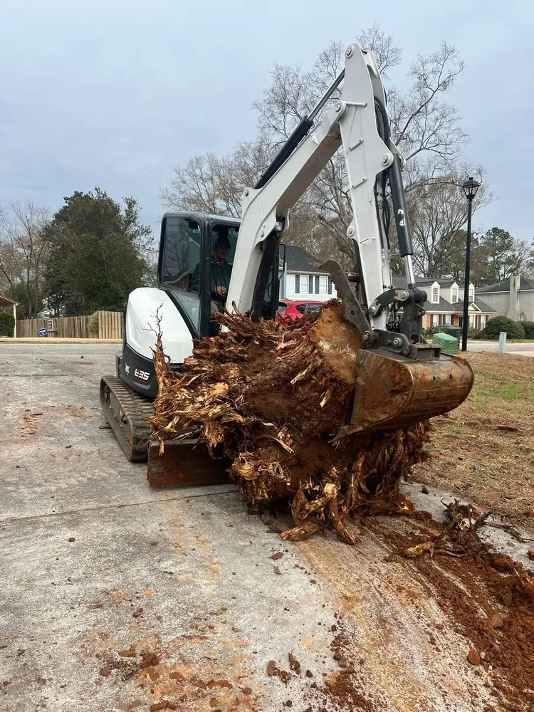 Affordable yard maintenance experts serving Augusta, GA - Harkins Landscape