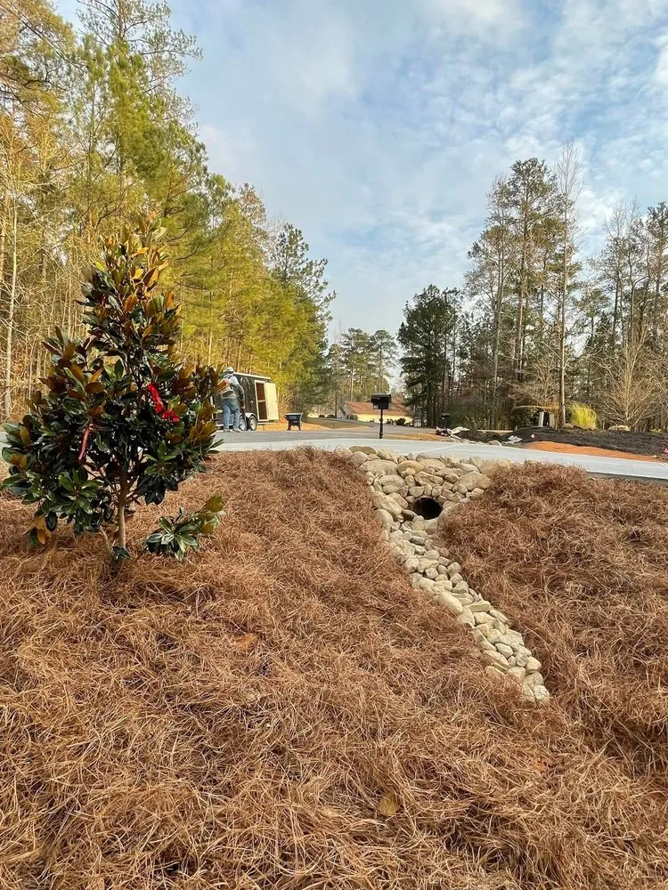 Trusted yard cleanup service in Augusta, GA by Harkins Landscape