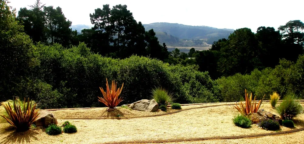 Professional yard cleanup service in Berkeley, CA - Harkness Gardens