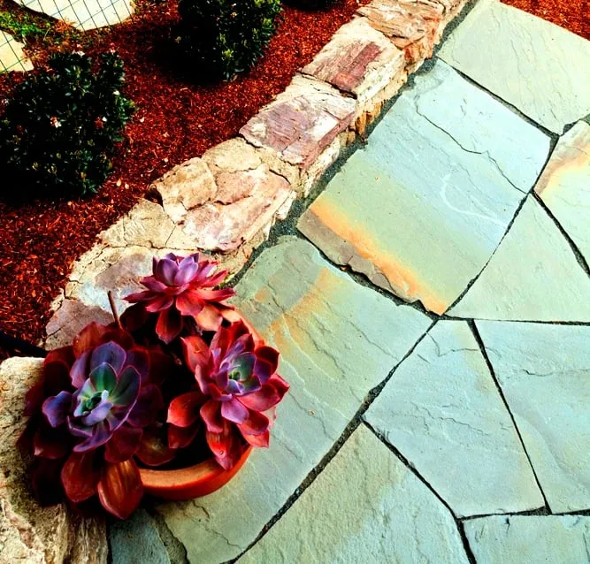 Expert yard cleanup service experts serving Berkeley, CA - Harkness Gardens