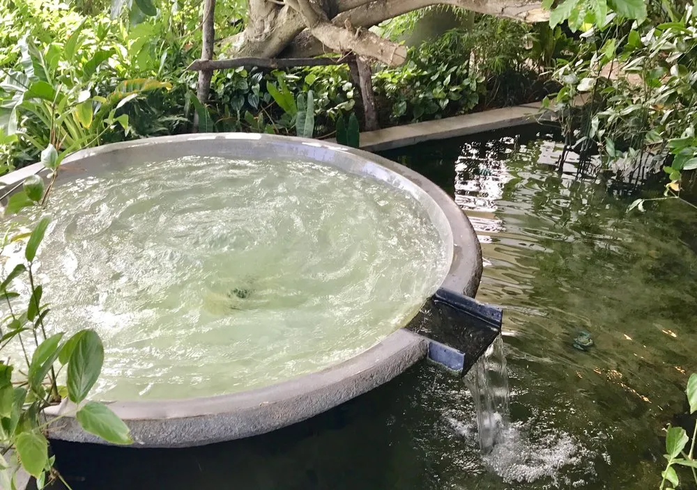 Custom yard cleanup service experts serving Berkeley, CA - Harkness Gardens