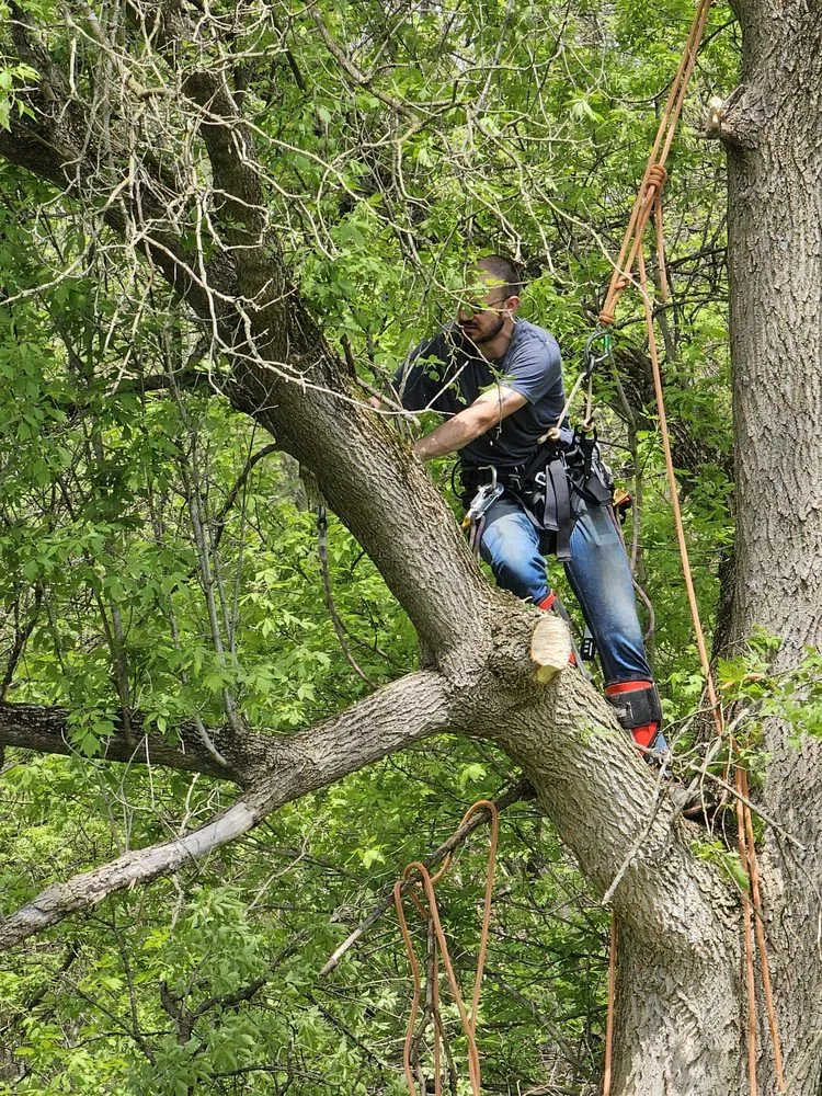 Local garden landscaping experts serving Elmira Heights, NY - Harley & Sons Outdoor Services