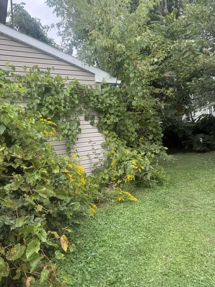 Affordable lawn mowing service near you across Elmira Heights, NY - Harley & Sons Outdoor Services