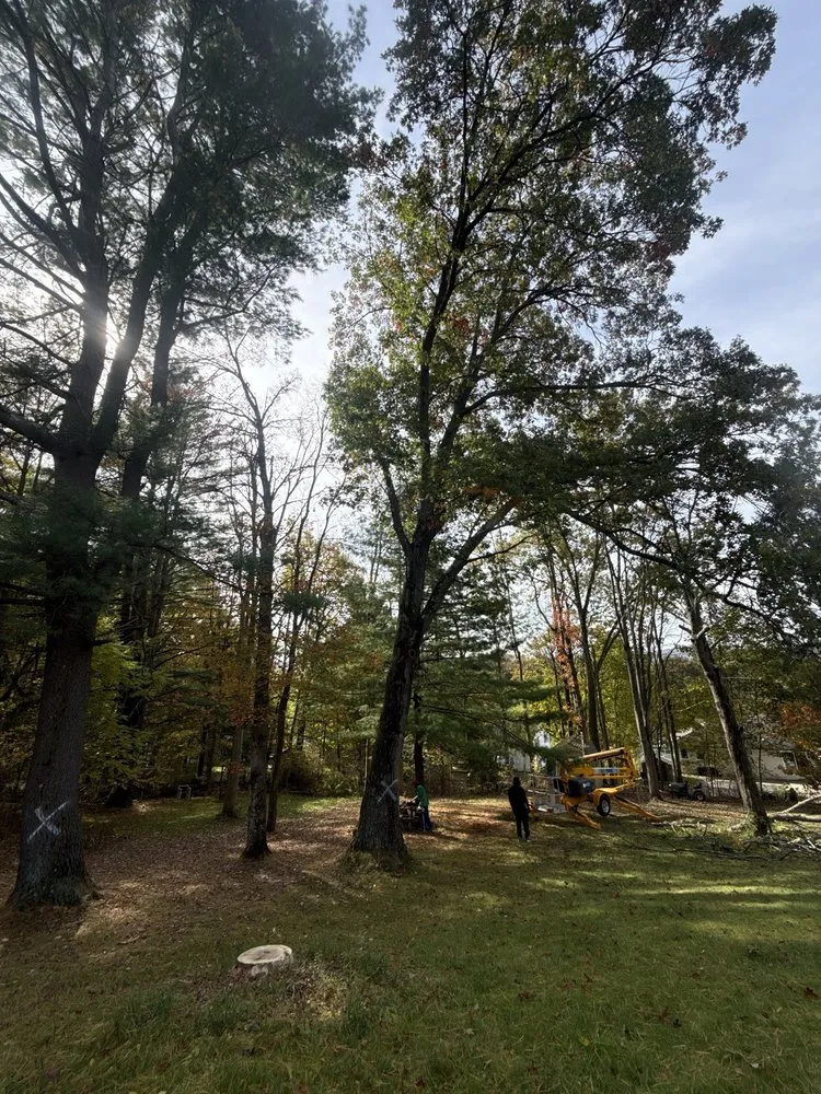 Professional lawn mowing service for beautiful yards across Elmira Heights, NY - Harley & Sons Outdoor Services