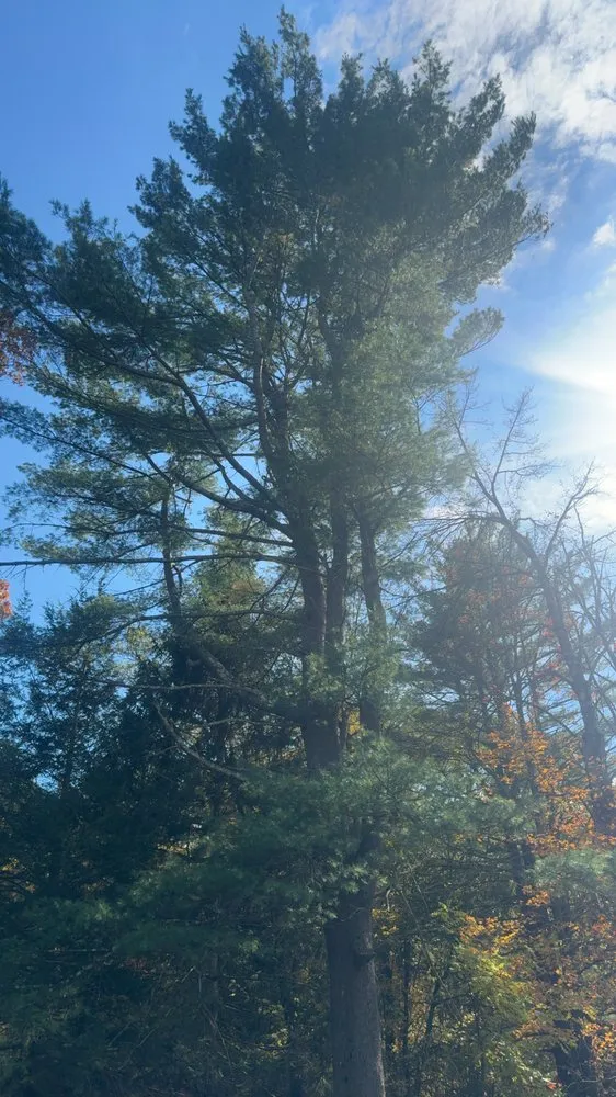 Affordable garden landscaping for beautiful yards across Elmira Heights, NY - Harley & Sons Outdoor Services