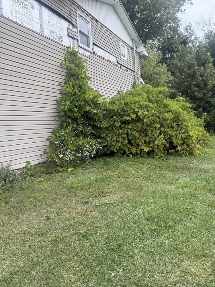 Reliable residential landscaping in Elmira Heights, NY by Harley & Sons Outdoor Services