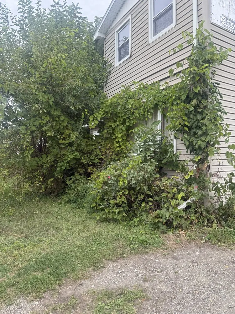 Affordable residential landscaping for beautiful yards across Elmira Heights, NY - Harley & Sons Outdoor Services