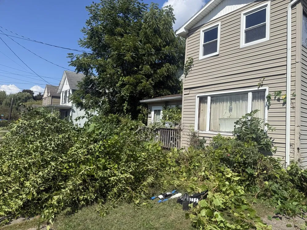 Top-rated landscape installation in Elmira Heights, NY - Harley & Sons Outdoor Services