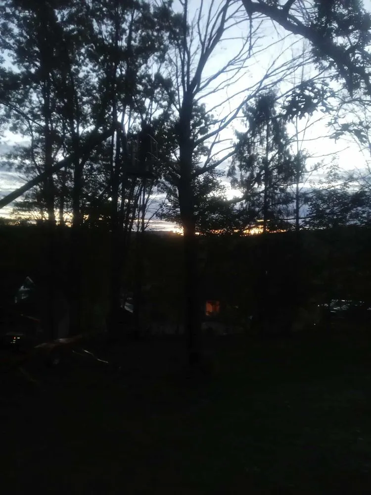 Reliable yard maintenance in Elmira Heights, NY - Harley & Sons Outdoor Services