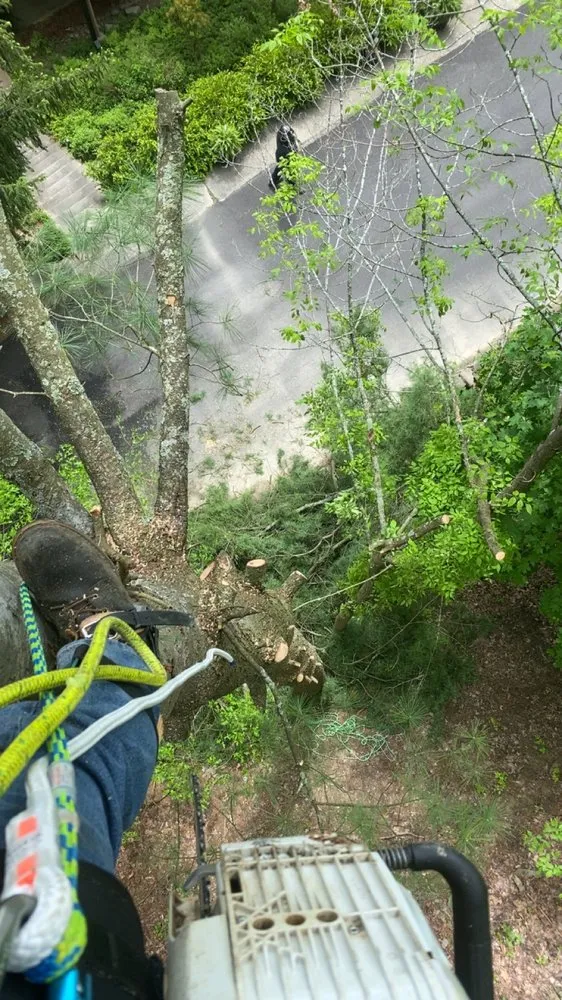 Top-rated residential landscaping experts serving Elmira Heights, NY - Harley & Sons Outdoor Services