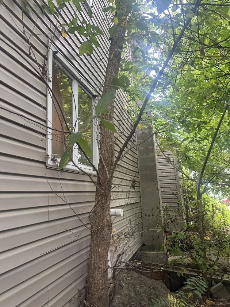 Reliable yard maintenance in Elmira Heights, NY - Harley & Sons Outdoor Services