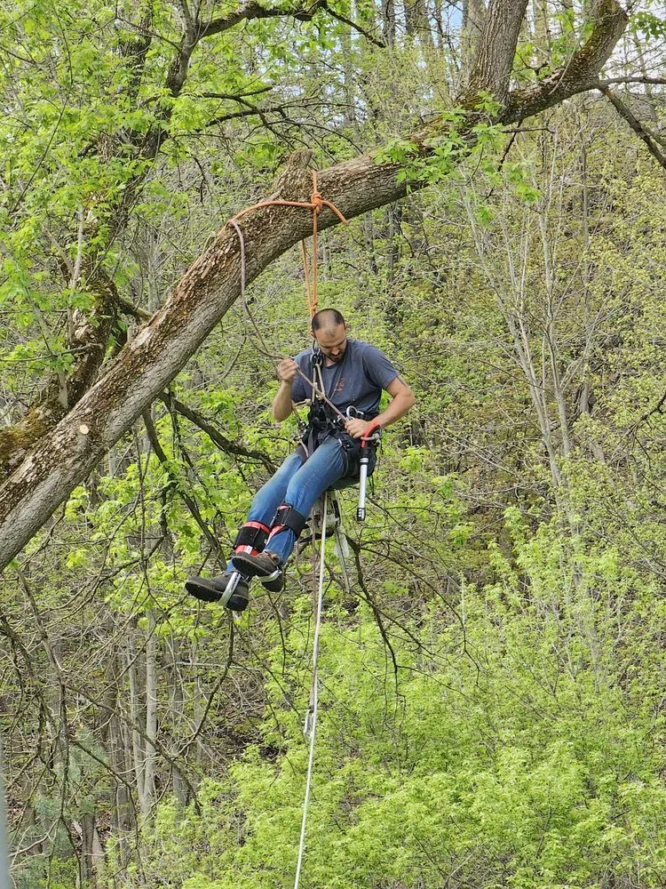 Trusted outdoor landscaping for residential properties in Elmira Heights, NY by Harley & Sons Outdoor Services