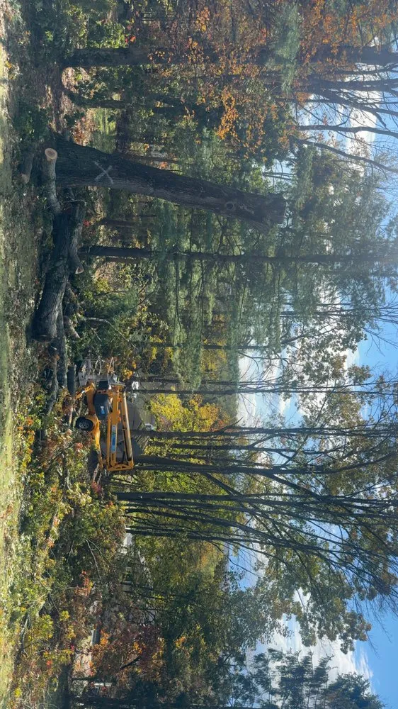 Top-rated landscape installation for homes in Elmira Heights, NY by Harley & Sons Outdoor Services