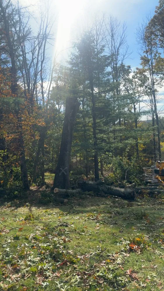 Reliable yard cleanup service in Elmira Heights, NY by Harley & Sons Outdoor Services