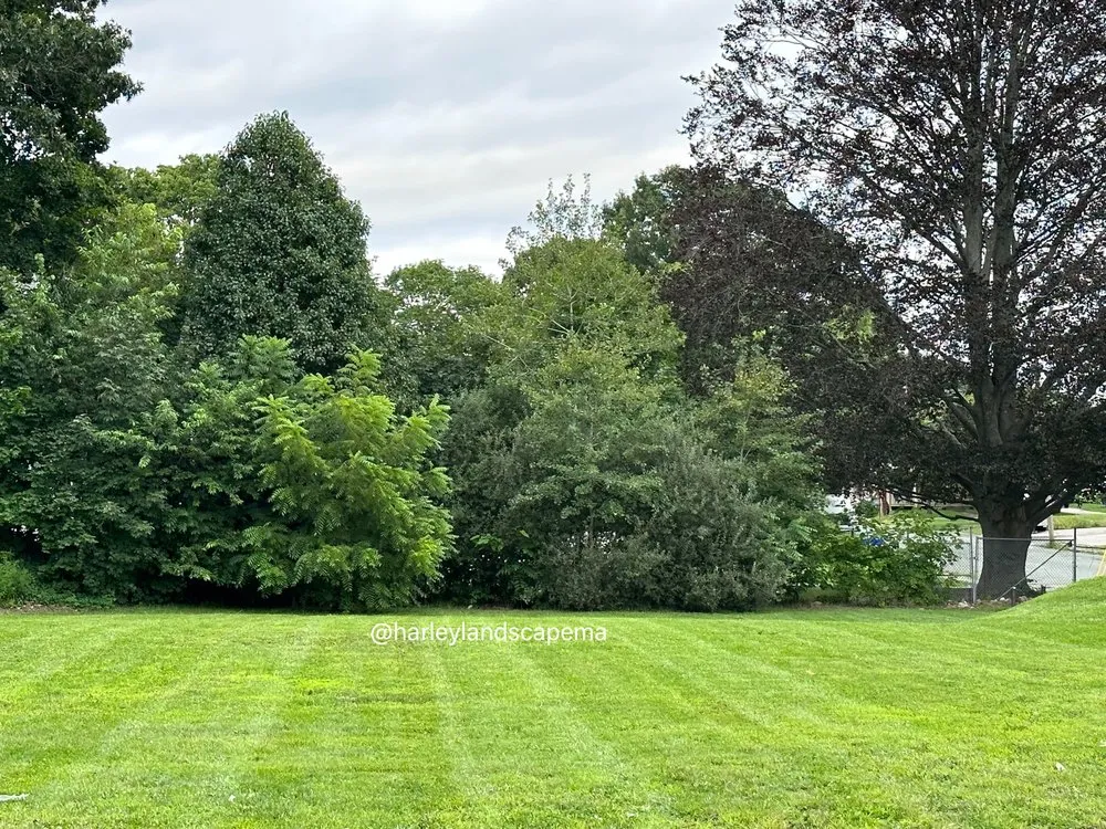 Top-rated residential landscaping experts serving Rockland, MA - Harley Landscaping