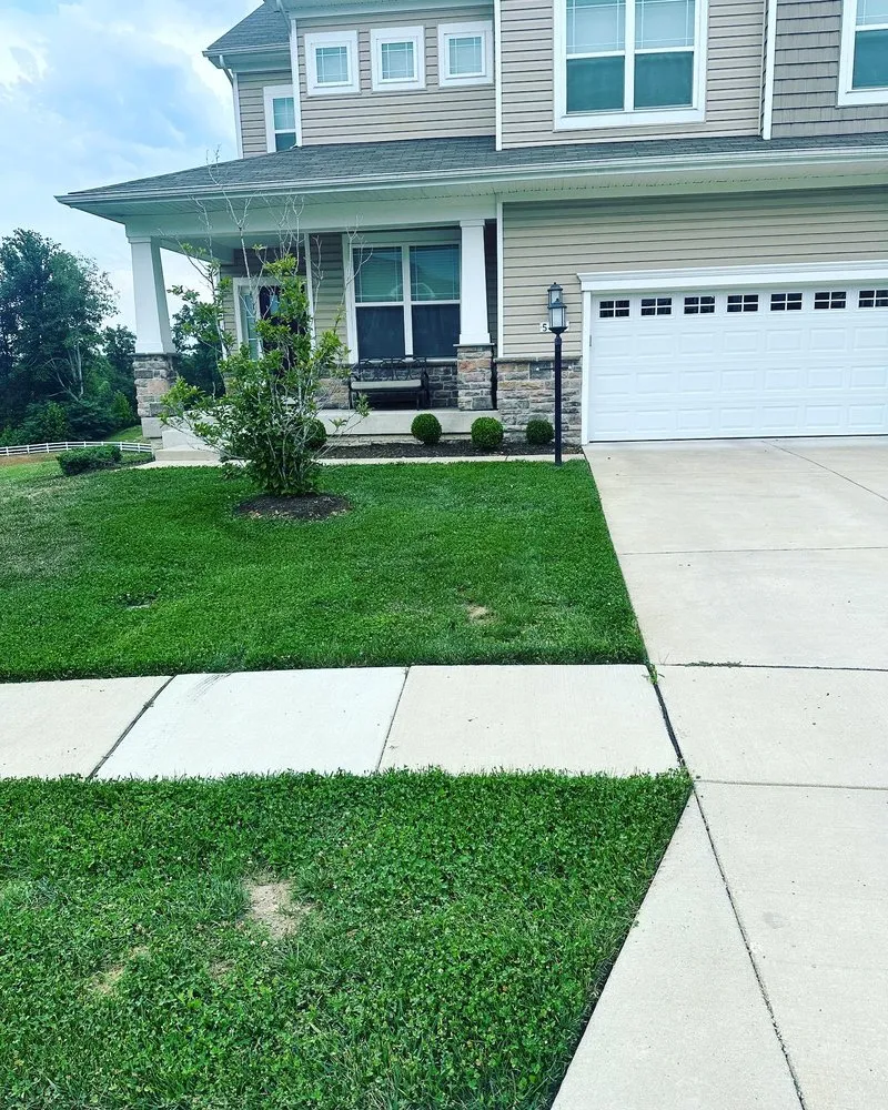 Custom yard cleanup service in Waldorf, MD - Harley Landscaping