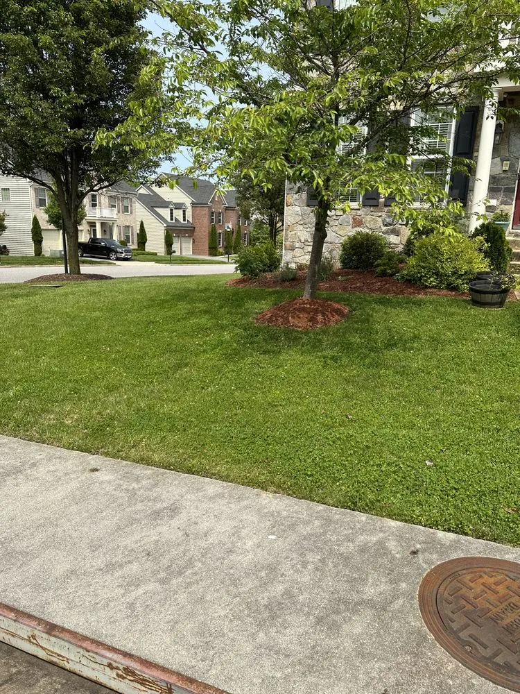 Professional landscaping services for beautiful yards in Waldorf, MD by Harley Landscaping