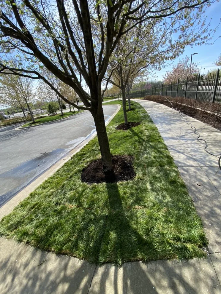 Top-rated yard cleanup service in Baldwin City, KS - Harley’s Lawn Care