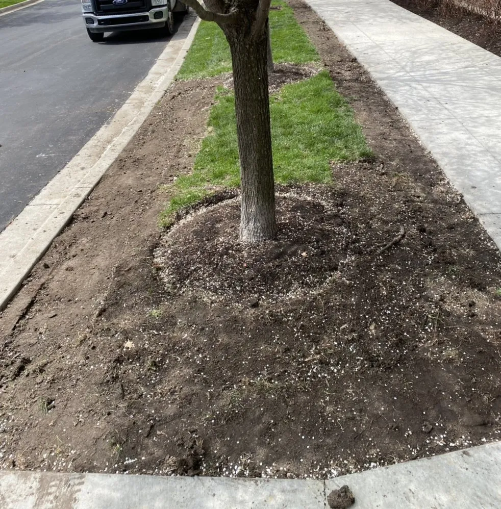 Local yard maintenance near you in Baldwin City, KS by Harley’s Lawn Care