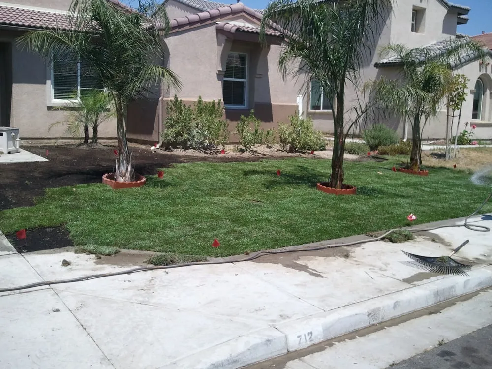 Expert yard maintenance for homes in Menifee, CA by Harlin Lawn Service