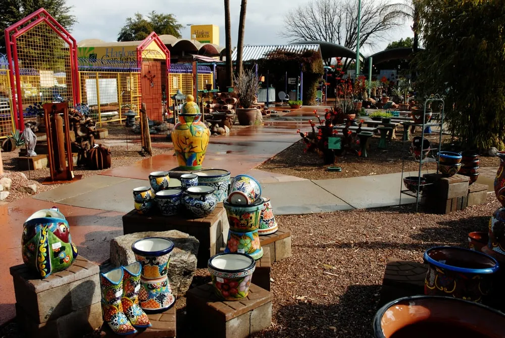 Reliable landscape design in Tucson, AZ by Harlow Gardens