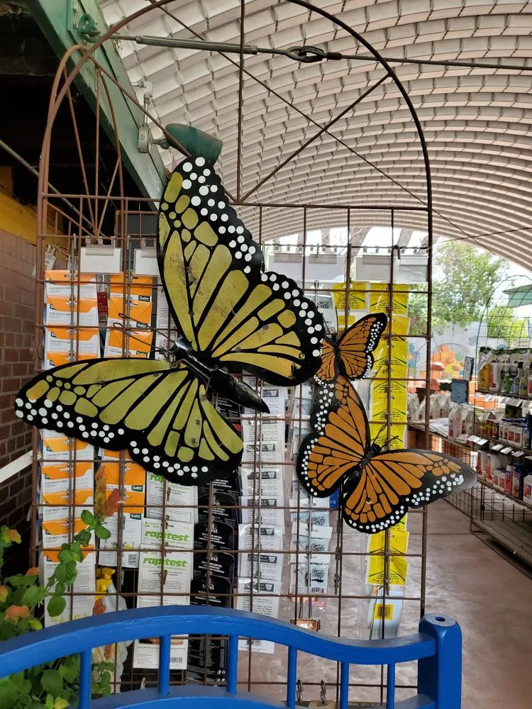 Trusted garden landscaping in Tucson, AZ by Harlow Gardens