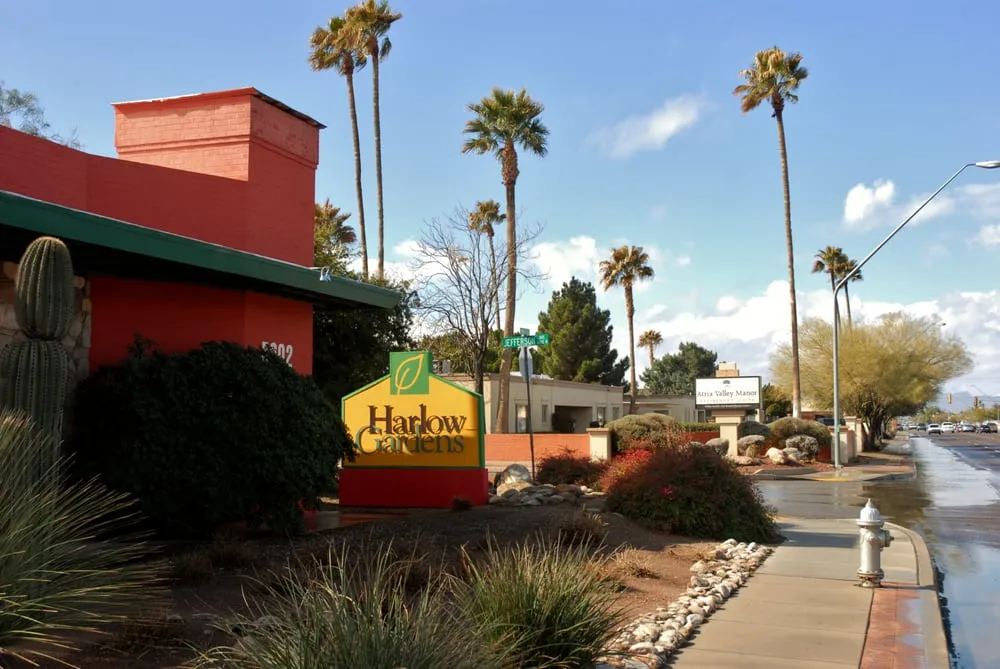 Local landscape design near you in Tucson, AZ by Harlow Gardens