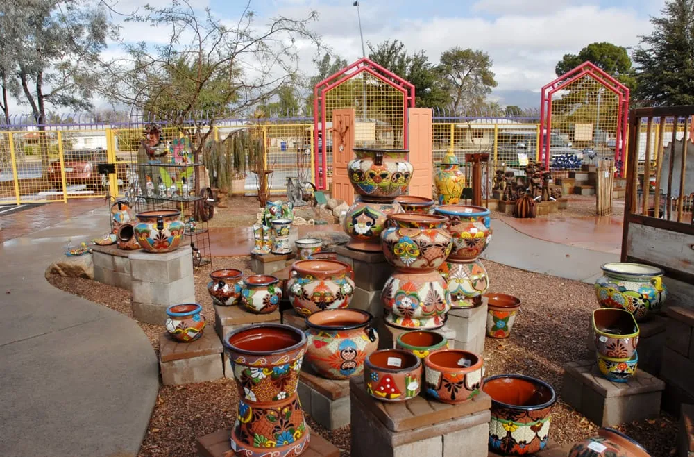 Expert landscape design for year-round maintenance in Tucson, AZ by Harlow Gardens