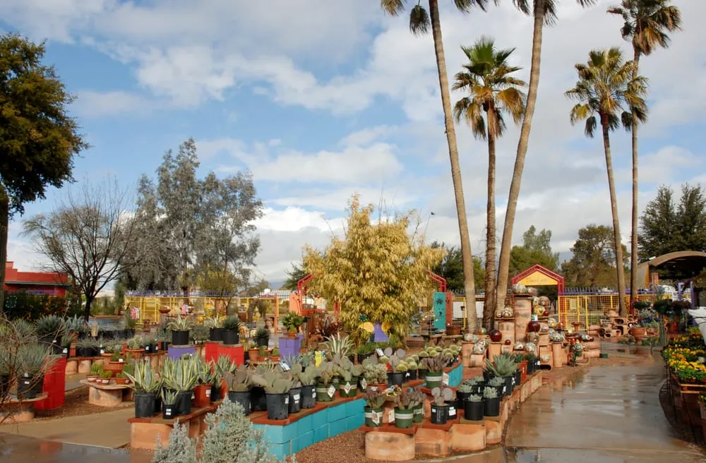 Local garden landscaping in Tucson, AZ by Harlow Gardens