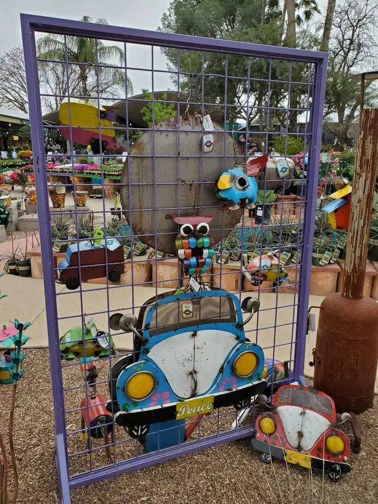 Professional outdoor landscaping for beautiful yards in Tucson, AZ by Harlow Gardens