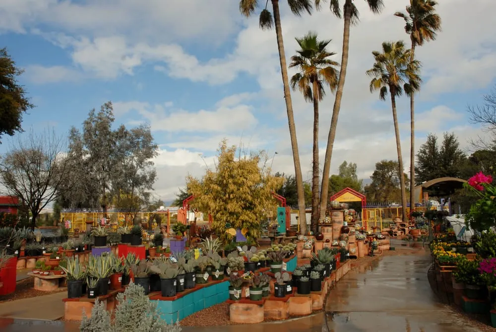 Reliable residential landscaping in Tucson, AZ - Harlow Gardens