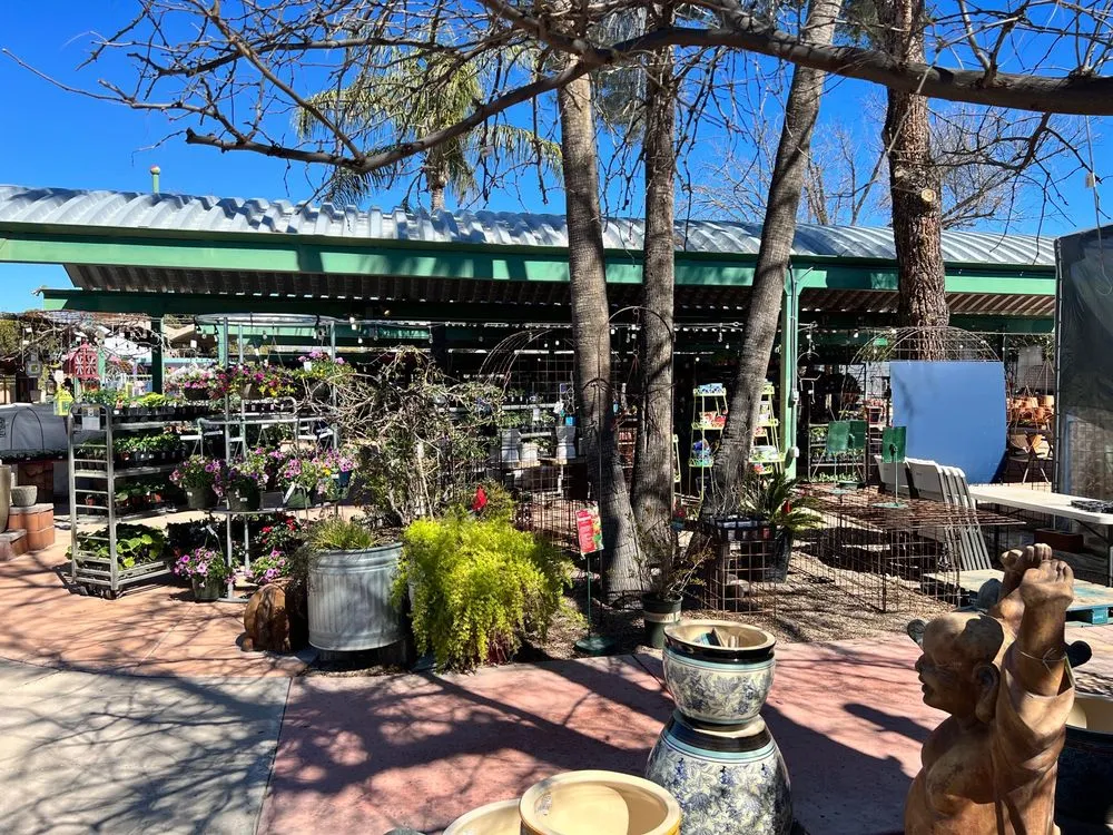 Professional residential landscaping in Tucson, AZ - Harlow Gardens