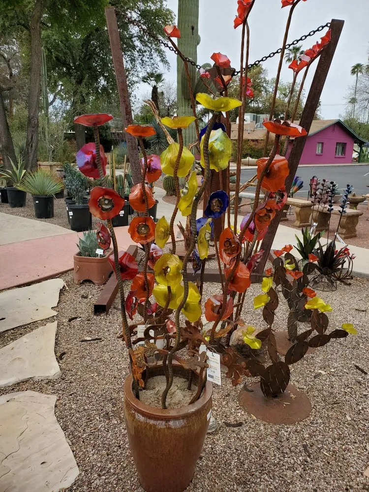 Reliable yard maintenance in Tucson, AZ - Harlow Gardens