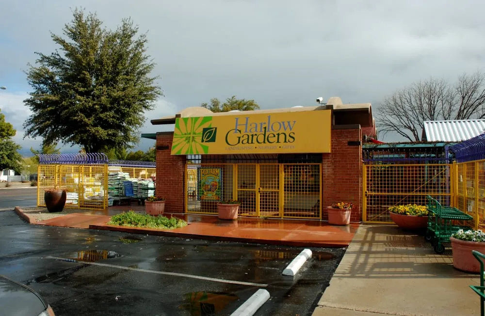 Custom landscape installation experts serving Tucson, AZ - Harlow Gardens