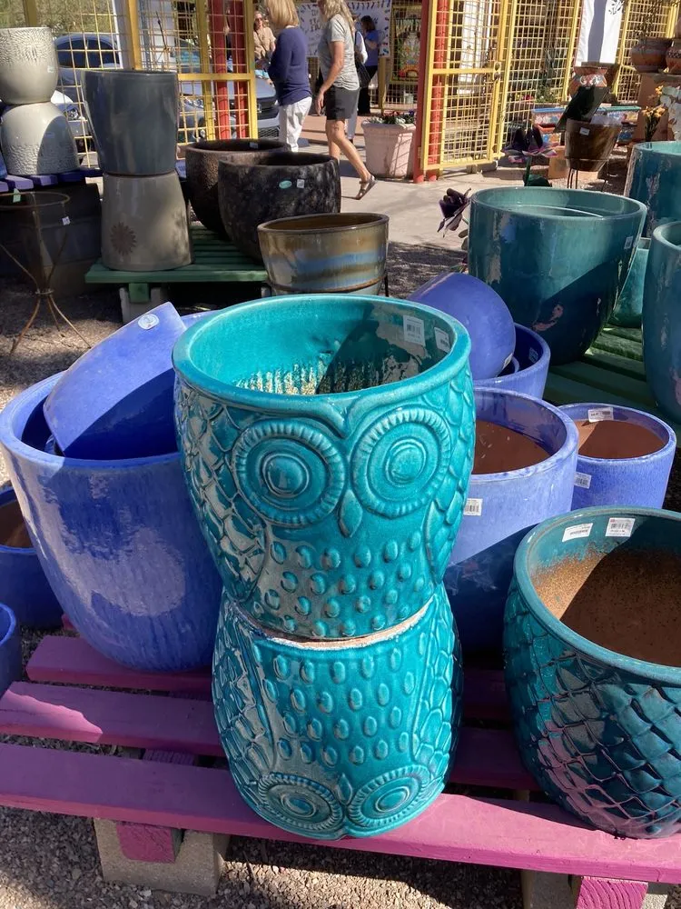 Trusted lawn care service in Tucson, AZ by Harlow Gardens