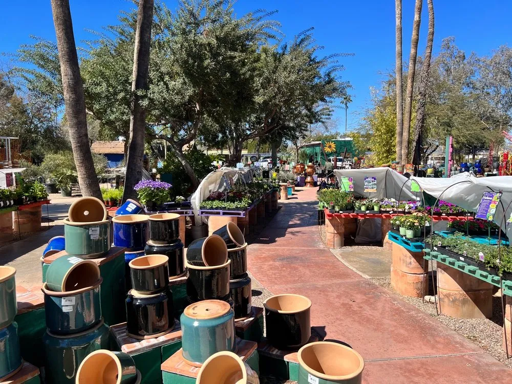 Professional yard cleanup service near you across Tucson, AZ - Harlow Gardens