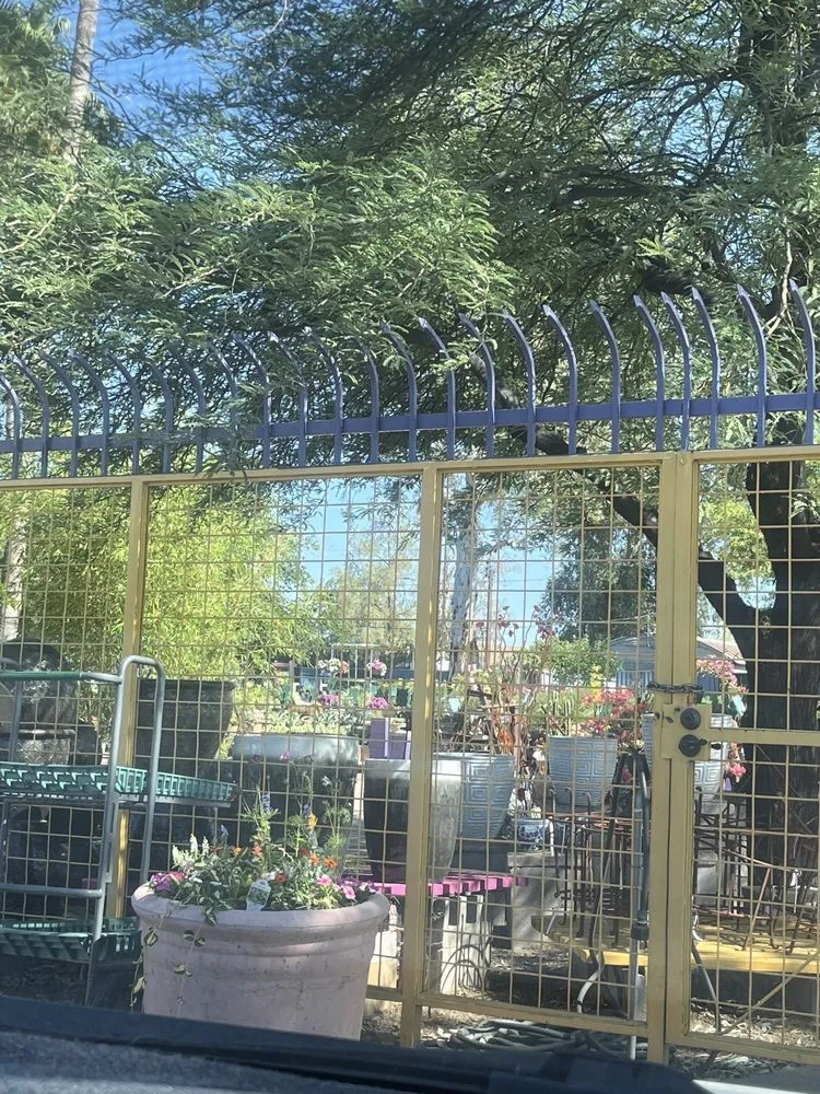 Affordable landscape design for beautiful yards across Tucson, AZ - Harlow Gardens